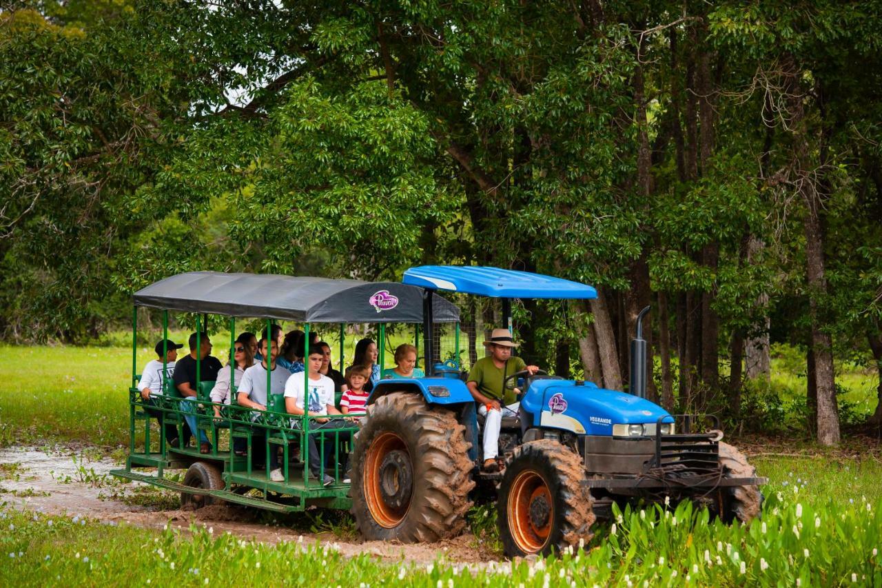 Pousada Piuval Pocone Ngoại thất bức ảnh