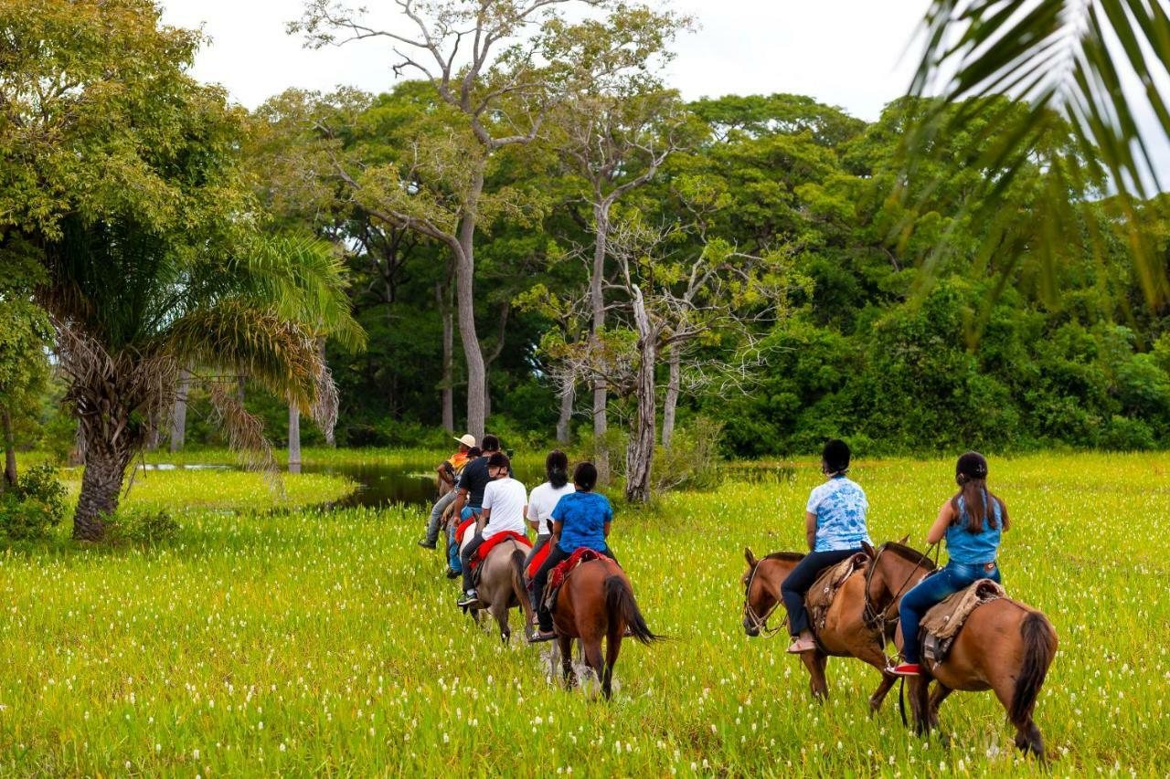 Pousada Piuval Pocone Ngoại thất bức ảnh