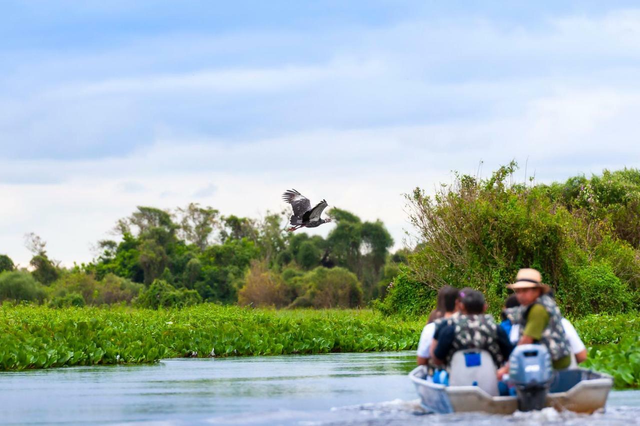 Pousada Piuval Pocone Ngoại thất bức ảnh