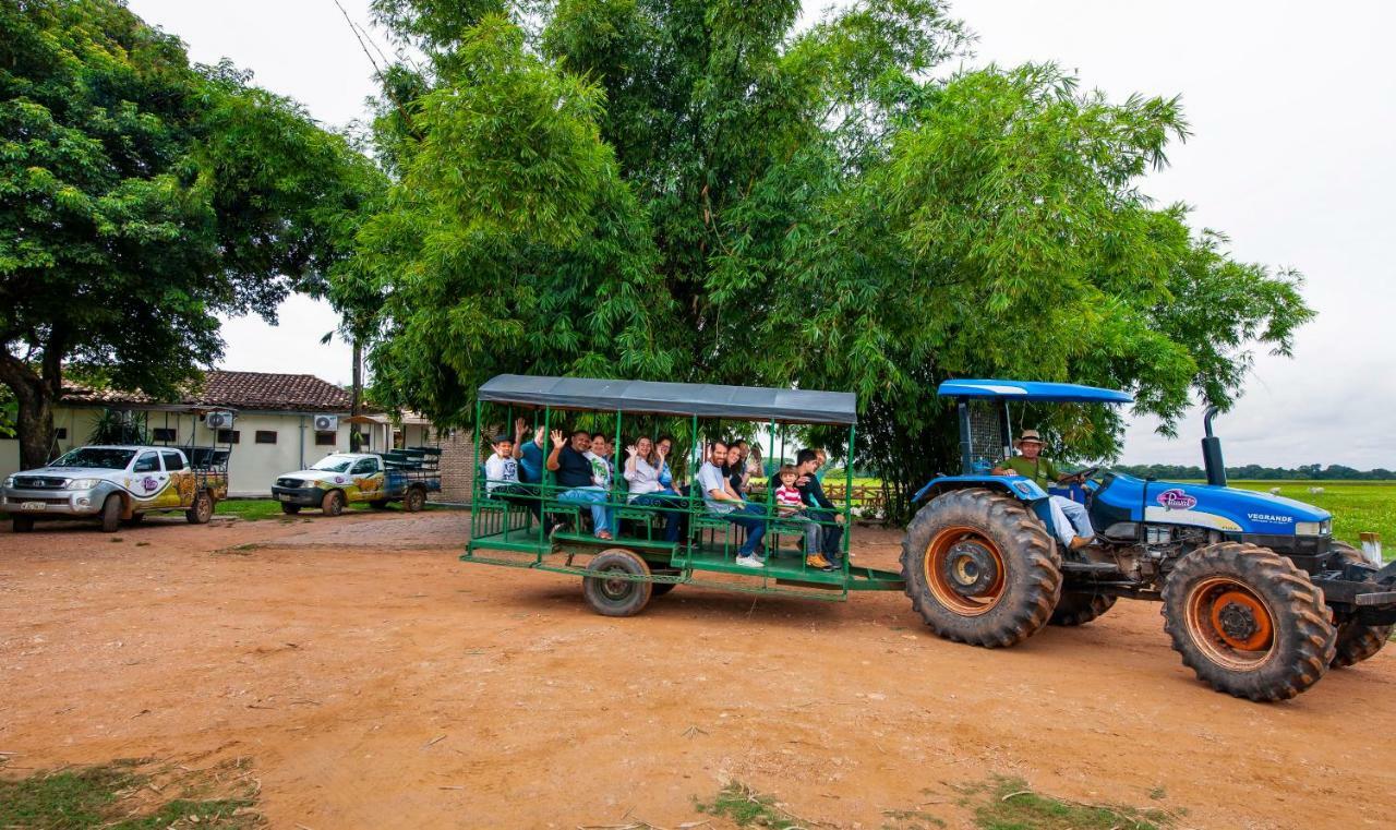 Pousada Piuval Pocone Ngoại thất bức ảnh