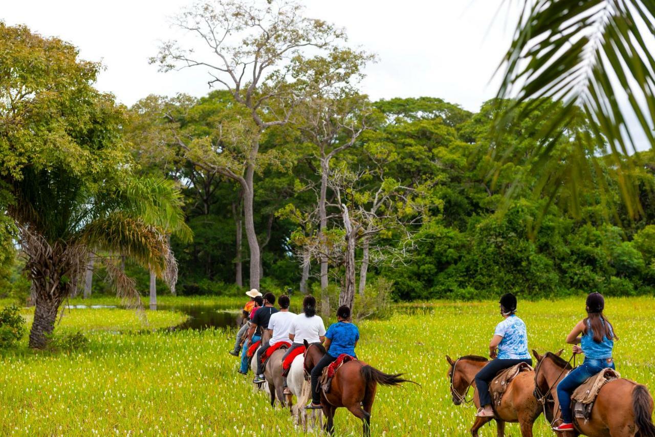 Pousada Piuval Pocone Ngoại thất bức ảnh