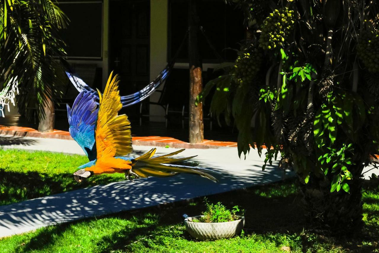 Pousada Piuval Pocone Ngoại thất bức ảnh