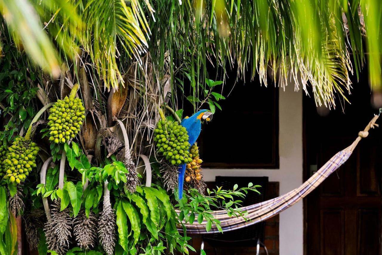 Pousada Piuval Pocone Ngoại thất bức ảnh