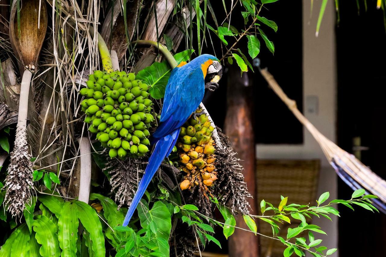 Pousada Piuval Pocone Ngoại thất bức ảnh